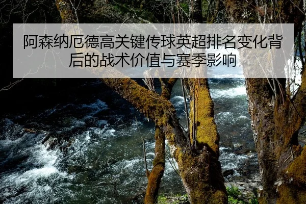 阿森纳厄德高关键传球英超排名变化背后的战术价值与赛季影响